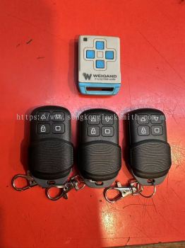 duplicate Weigand remote control 