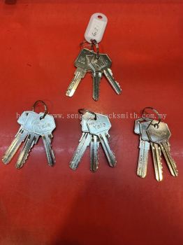 Sengkonglocksmith Professional Duplicate Key