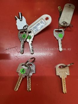 Professional Duplicate Key