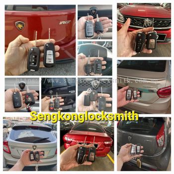 Professional copy car key remote control