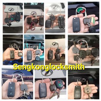 Professional copy car key remote control