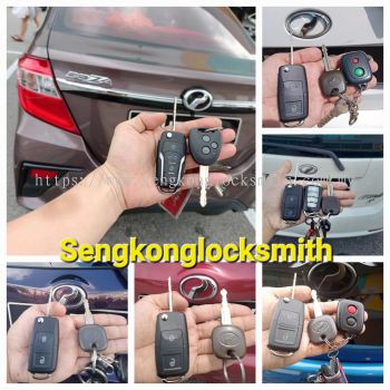 Professional copy car key remote control