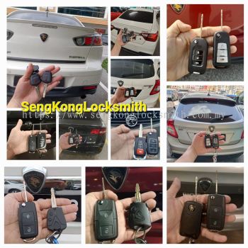 Professional copy car key remote control