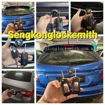 Professional copy car key remote control