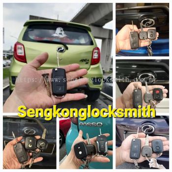 Professional copy car key remote control