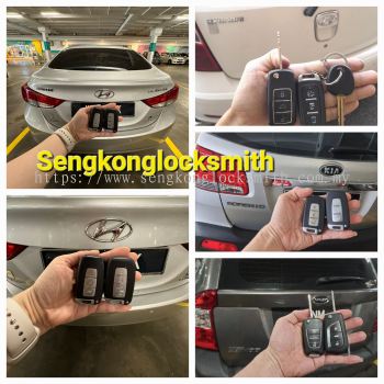 Professional copy car key remote control