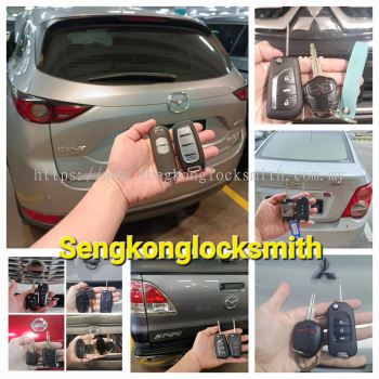 Professional copy car key remote control