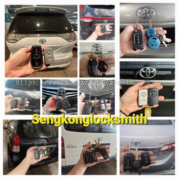 Professional copy car key remote control