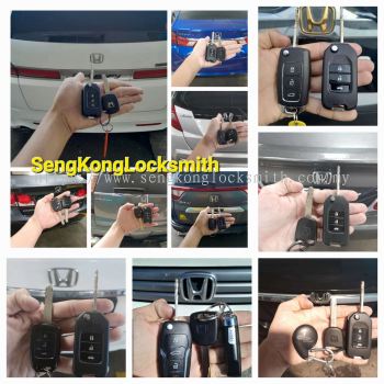 Professional copy car key remote control