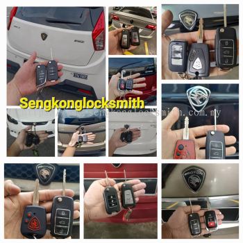 Professional copy car key remote control