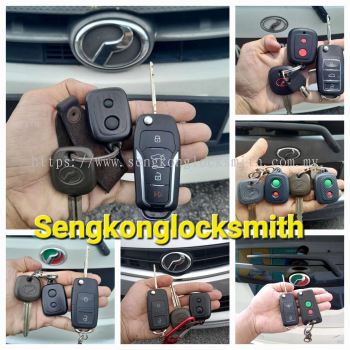 Professional copy car key remote control