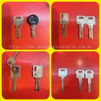 Professional duplication of keys