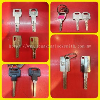 Professional duplication of keys