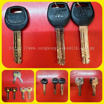 Professional duplication of keys