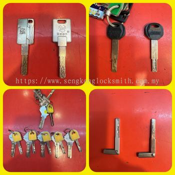 Professional duplication of keys