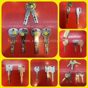 Professional duplication of keys