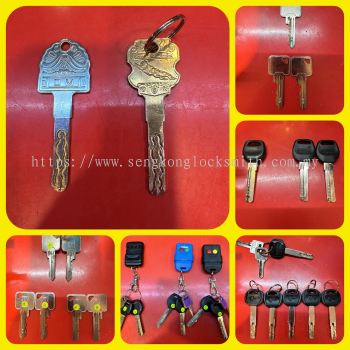 Professional duplication of keys