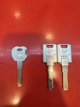 Security door key