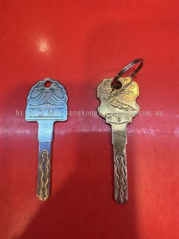 Security door key