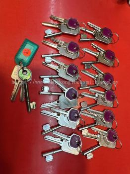 duplicate office and house keys 