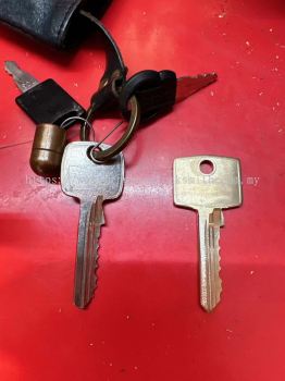 Duplicate security door keys and duplicate special keys