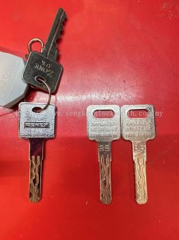 Duplicate security door keys and duplicate special keys