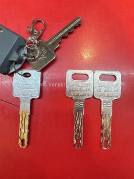 Duplicate security door keys and duplicate special keys