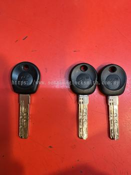 Copy special keys and copy anti-theft lock keys