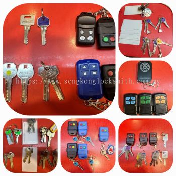 We are professional in copying fixed door remote control, professional copying keys and copying Access cards.