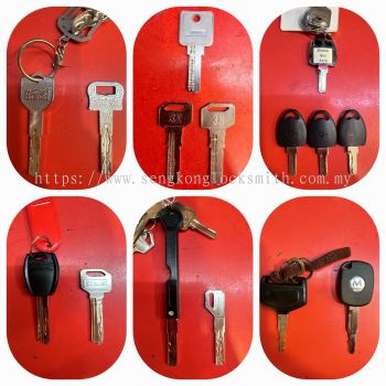 We are professional in duplicating all kinds of keys