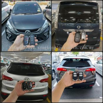 We are professional in replicating all kinds of car remote controls