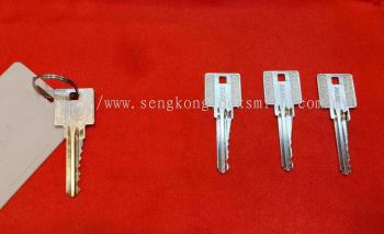 We are professional in duplicating all kinds of keys