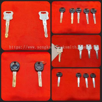 sengkonglocksmith is a professional key duplication