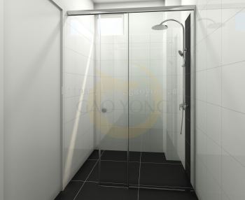 Shower Screen