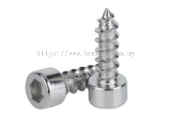 Socket Cap Self Tapping Screw