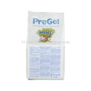 PREGEL, Fruit Sorbet Base Milk Free, 2 kg