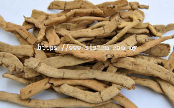 Morinda Officinalis Root (Ba Ji Tian)