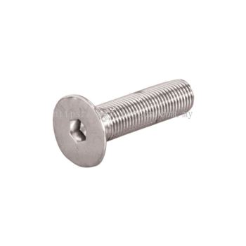 Socket Flat Head Screw (CSK)