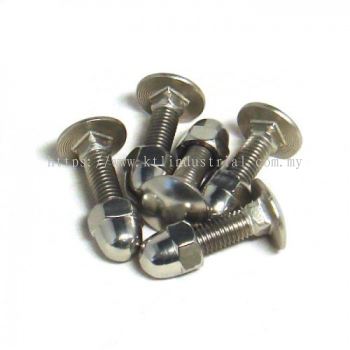 Carriage Bolt Nut Stainless Steel