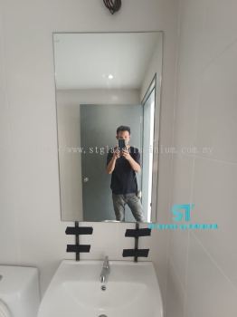 Toilet Mirror 