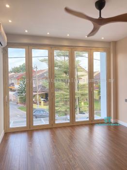 Folding Door 