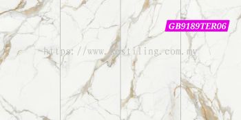 GB9189TER06