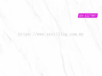 SN-1227997