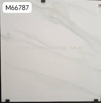 M66787 (60cmX 60cm)