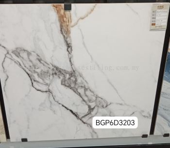 BGP6D3203 (60cmX 60cm)