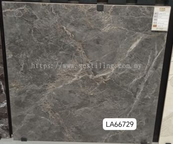  LA66729 (60cmX 60cm)
