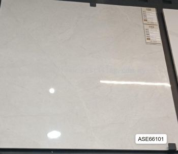 ASE66101 (60cmX 60cm)