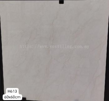DH613 (60cmX 60cm)