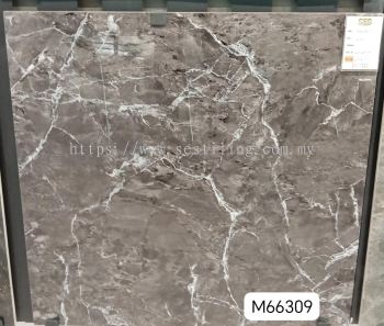 M66309 (60cmX60cm)
