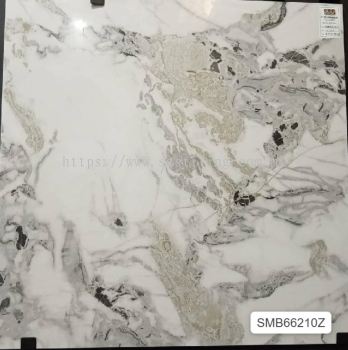 SMB66210Z (60X60cm)